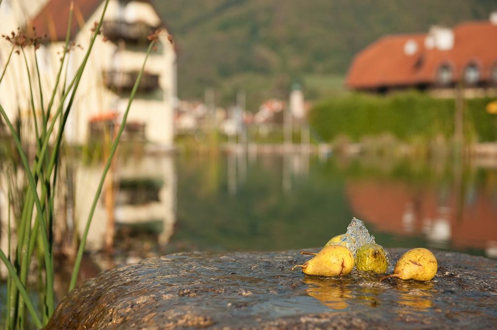 Romantikhotel Residenz Wachau Aggsbach Esterno foto